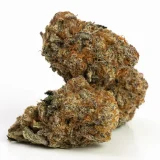 Girl Scout Cookies (AAA) | Hybrid