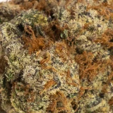 Girl Scout Cookies (AAA) | Hybrid