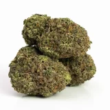 Green Crack (AAA) Sativa