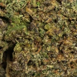 Green Crack (AAA) Sativa