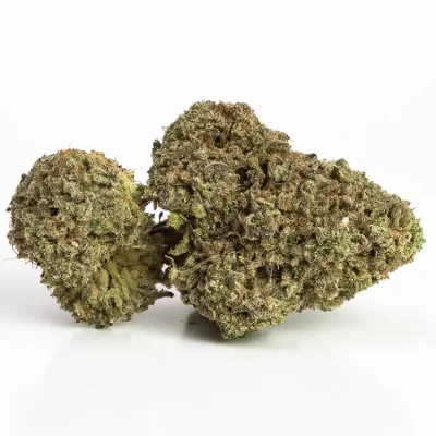 Rockstar (AAA) – Indica