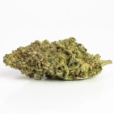 Lemon OG (AAA) – Hybrid