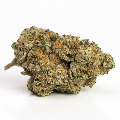 Chocolope (AAA) – Sativa