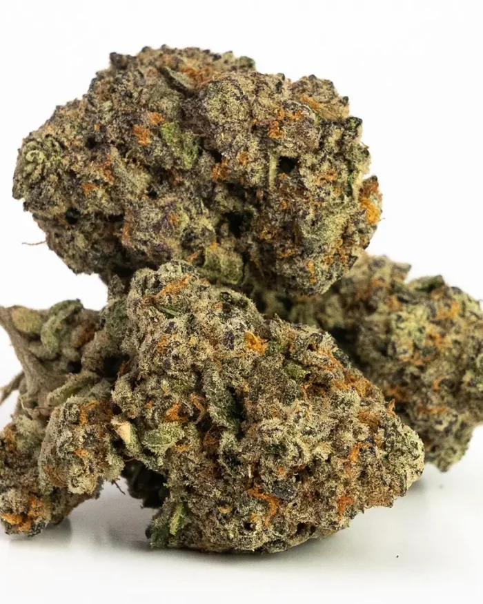 Chocolope (AAA) | Sativa