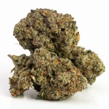 Chocolope (AAA) | Sativa