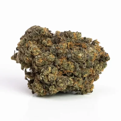 Hindu Kush (AA) – Indica