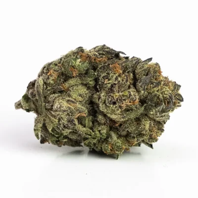 God Bud (AAA) – Indica