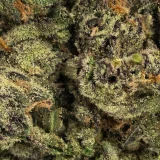 God Bud (AAA) Indica