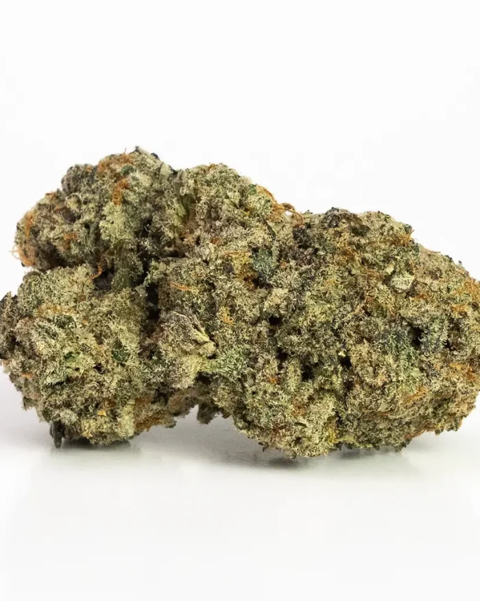 Jack Herer (AAA) Sativa