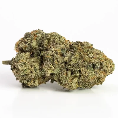 Jack Herer (AAA) – Sativa