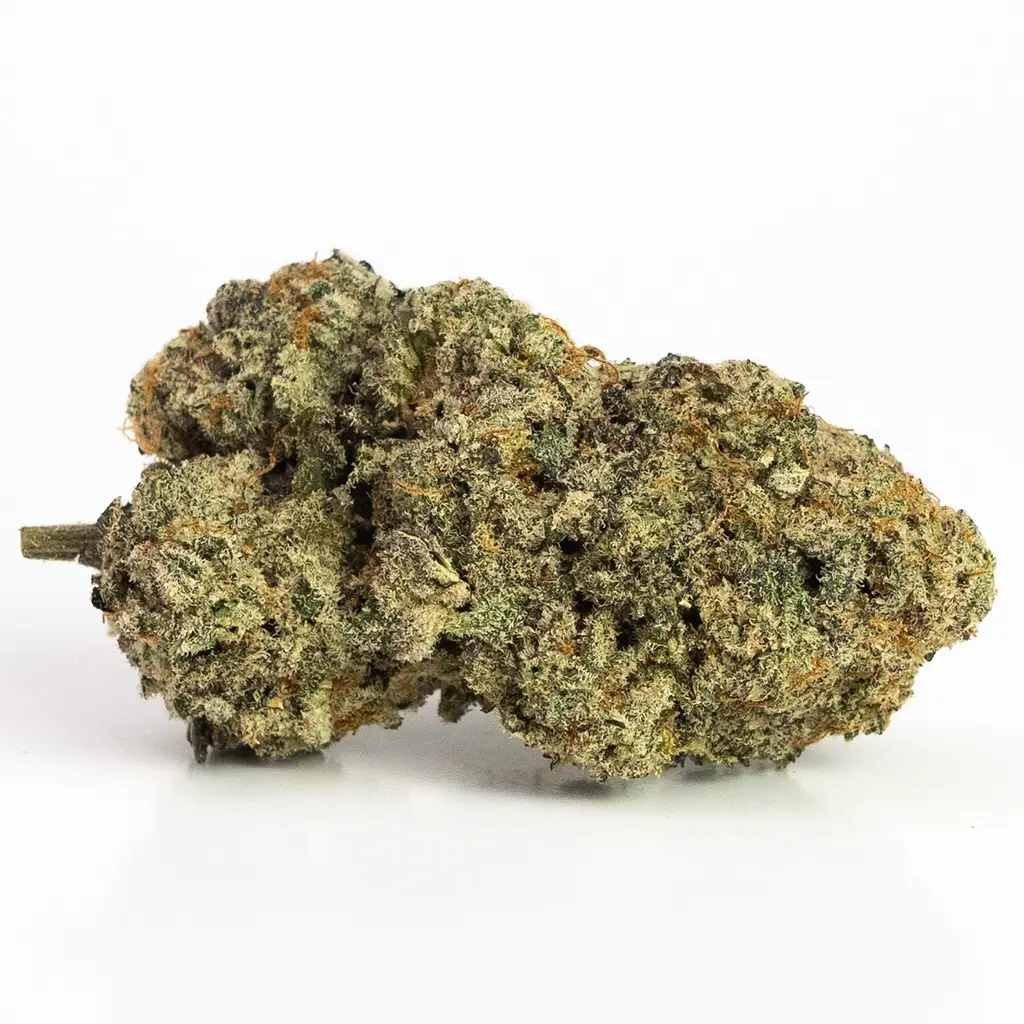 Jack Herer (AAA) Sativa