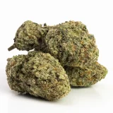 Jack Herer (AAA) Sativa