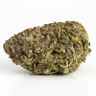 Northern Lights (AAAA) – Indica