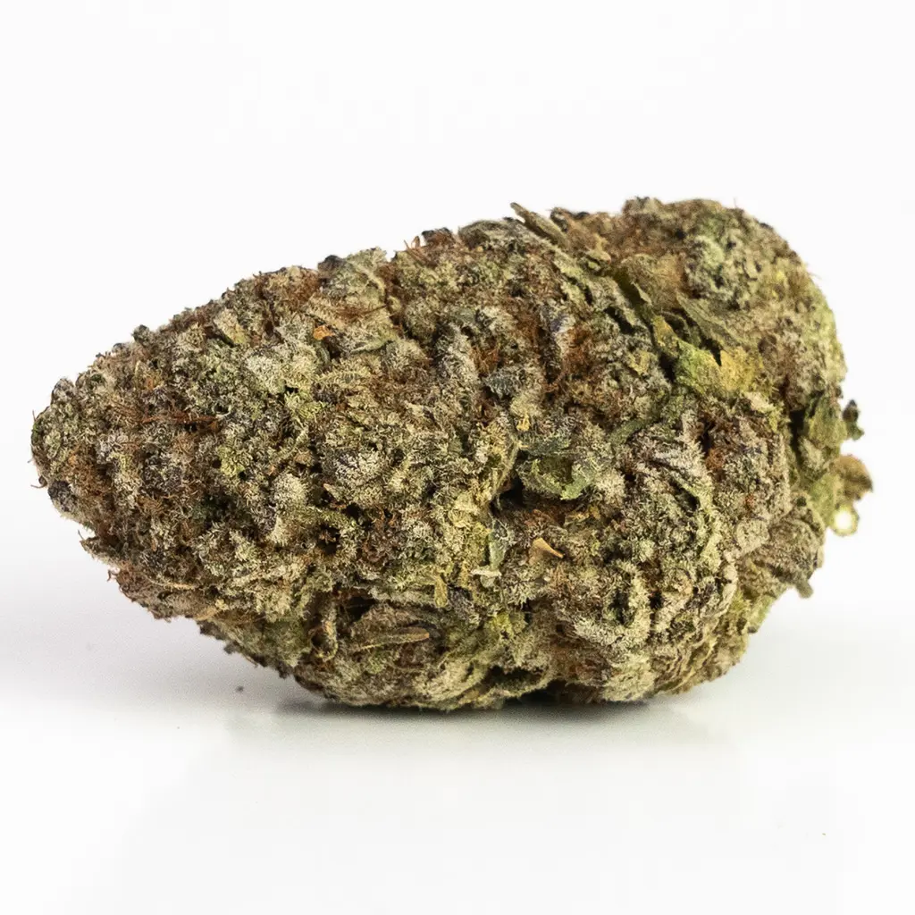 Northern Lights (AAAA) – Indica