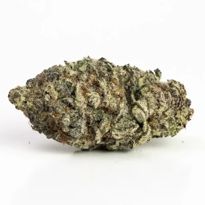 Romulan (AAA) – Indica