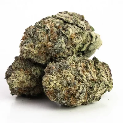 Romulan (AAA) – Indica