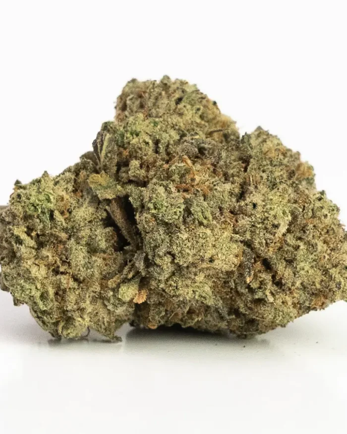 Violator (AAA) Indica