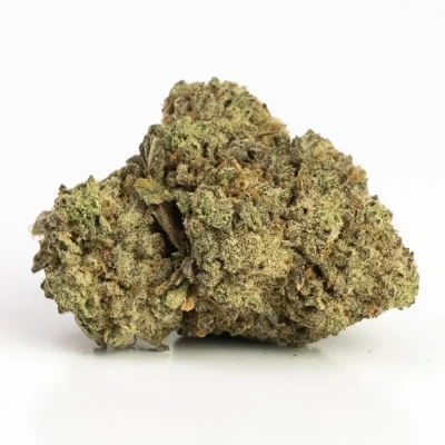 Violator (AAA) – Indica