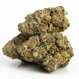 Bruce Banner (AAAA) | Sativa Dominant Hybrid