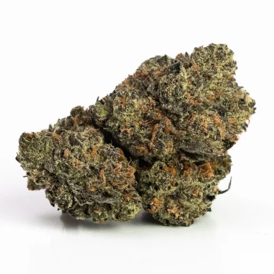 Granddaddy Purple (AAAA) – Indica Dominant Hybrid