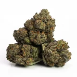 Granddaddy Purple (AAAA) | Indica Dominant Hybrid