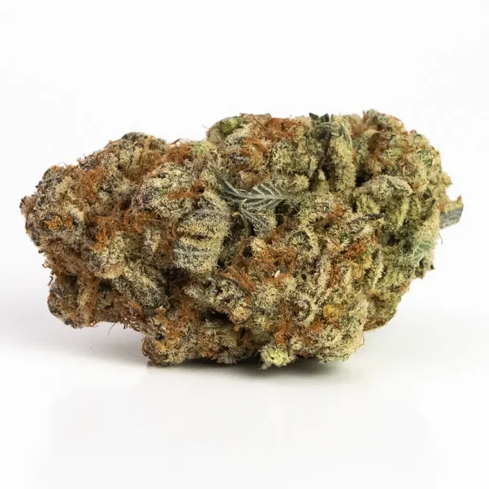 Master Kush (AAAA) | Indica Dominant Hybrid