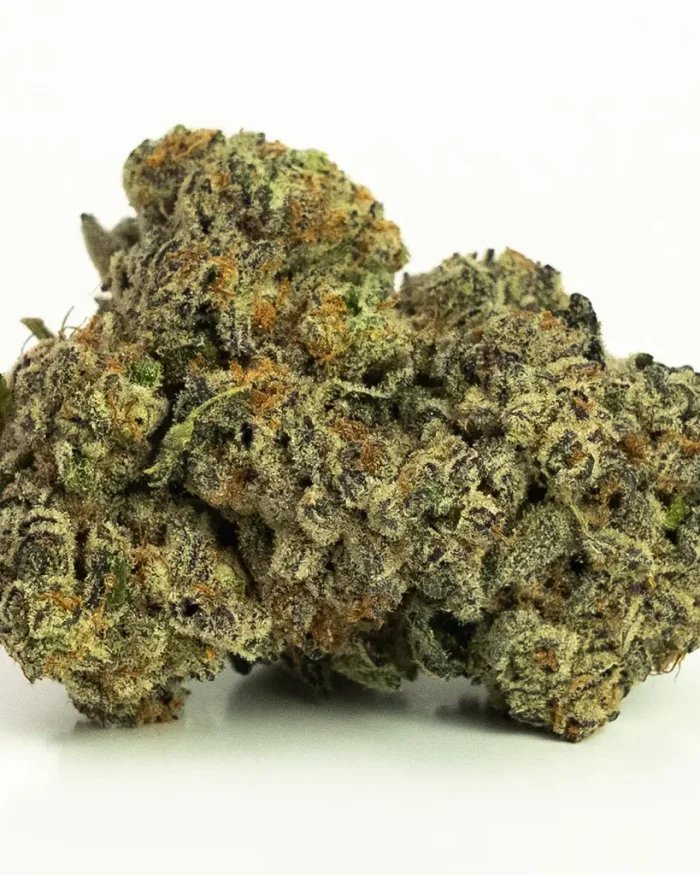 Afghan Bull Rider (AAAA) Indica