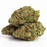 Amnesia Haze (AAAA) – Sativa