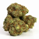 Blue Cheese (AAAA) – Indica