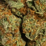 Blue Cheese (AAAA) Indica