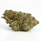 G13 (AAAA) – Indica