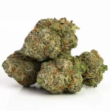 G13 (AAAA) – Indica