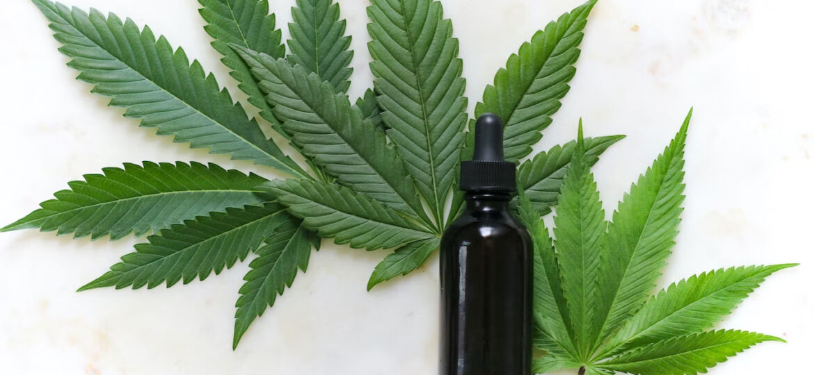 how-can-taking-cbd-oil-increase-your-metabolism