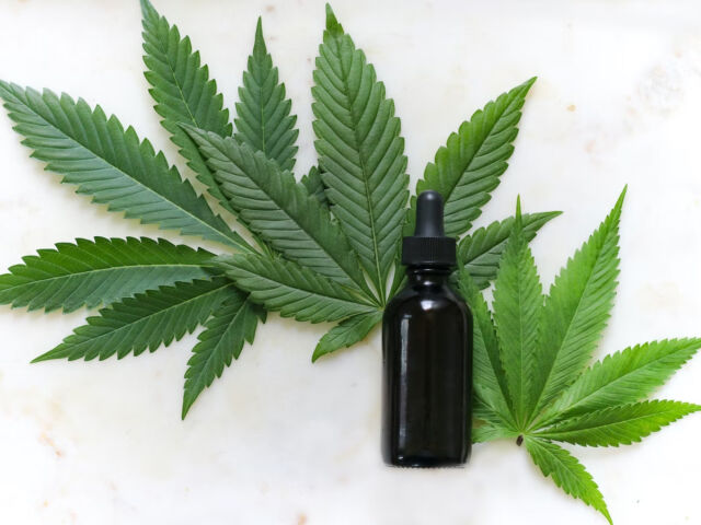 how-can-taking-cbd-oil-increase-your-metabolism