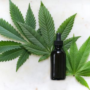 how-can-taking-cbd-oil-increase-your-metabolism