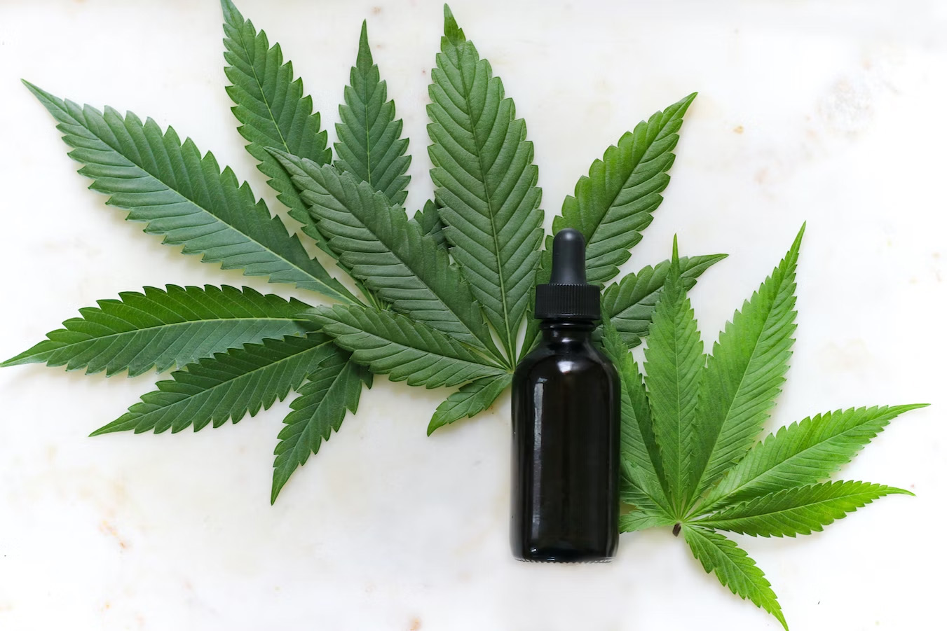 how-can-taking-cbd-oil-increase-your-metabolism