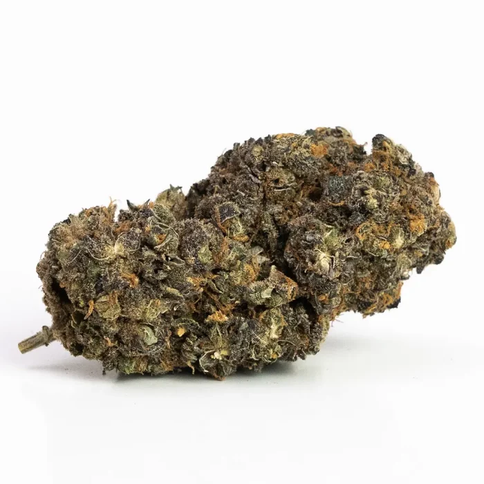 Blue Dream | Hybrid (While Supplies Last)