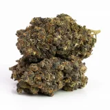 Blue Dream | Hybrid (While Supplies Last)