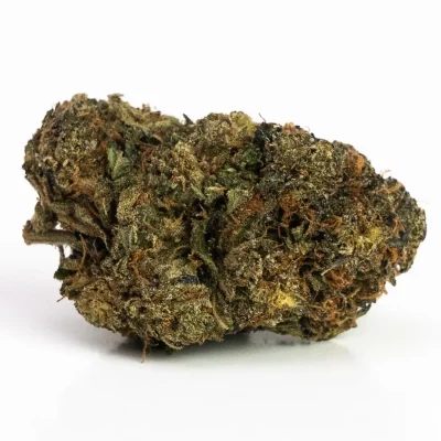 Gelato (A) – Hybrid