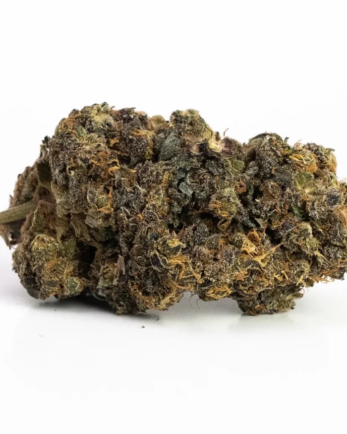 Jack Herer | Hybrid (While Supplies Last)