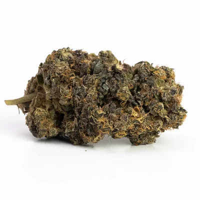 Jack Herer (A) – Hybrid