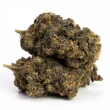 Jack Herer | Hybrid (While Supplies Last)