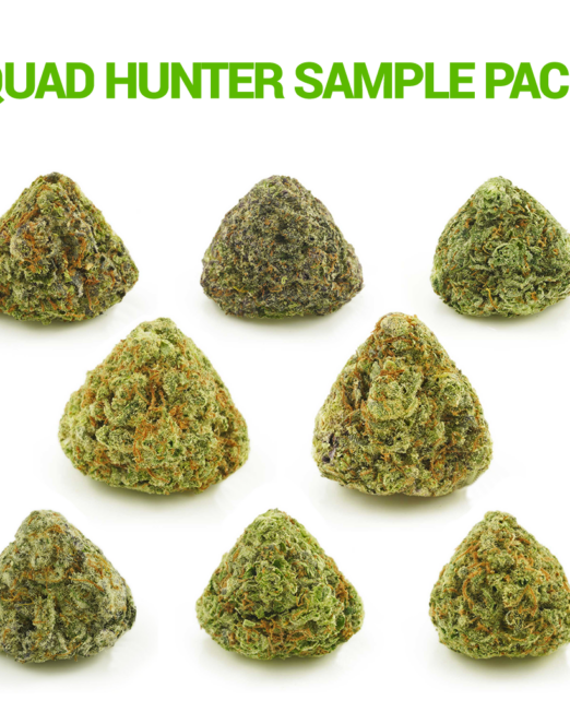 Quad-Hunter-Sample-Pack