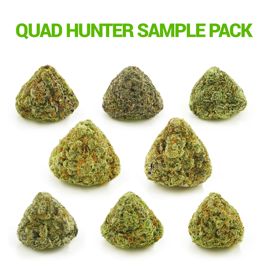 Quad Hunter Sample Pack