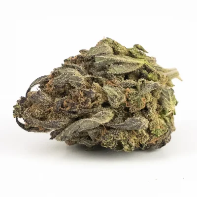 1oz Jet Fuel Gelato (A) – Hybrid