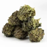 1oz Jet Fuel Gelato (A) | Hybrid (While Supplies Last)