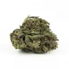 1oz Super Silver Haze (A) | Hybrid (While Supplies Last)