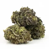 1oz Super Silver Haze (A) | Hybrid (While Supplies Last)