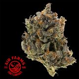 OG Kush Marijuana (Craft AAAA+) by Air Farms