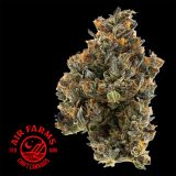 OG Kush Marijuana (Craft AAAA+) by Air Farms